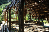 Another angle of the reconstructed Indigenous house at Limahuli Garden.